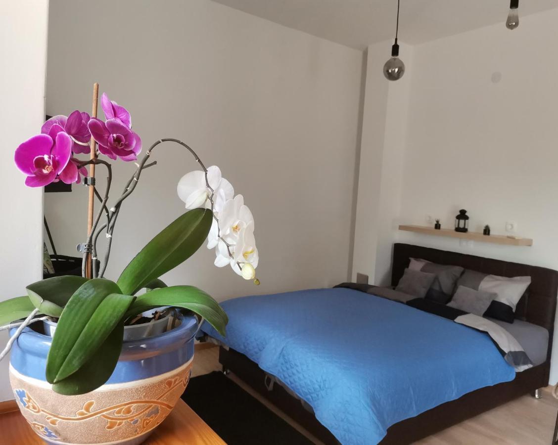 Apartments Sandra Lovran Extérieur photo